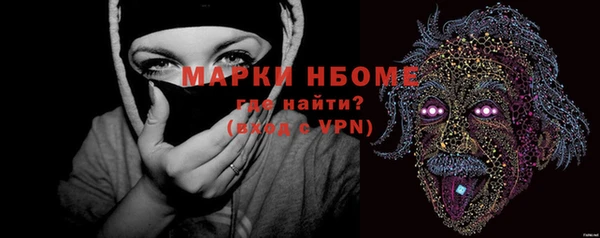 шишки Абаза