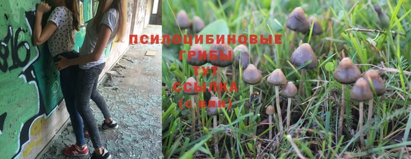 ALPHA PVP Сафоново