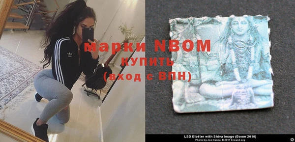 шишки Абаза