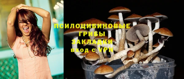 шишки Абаза